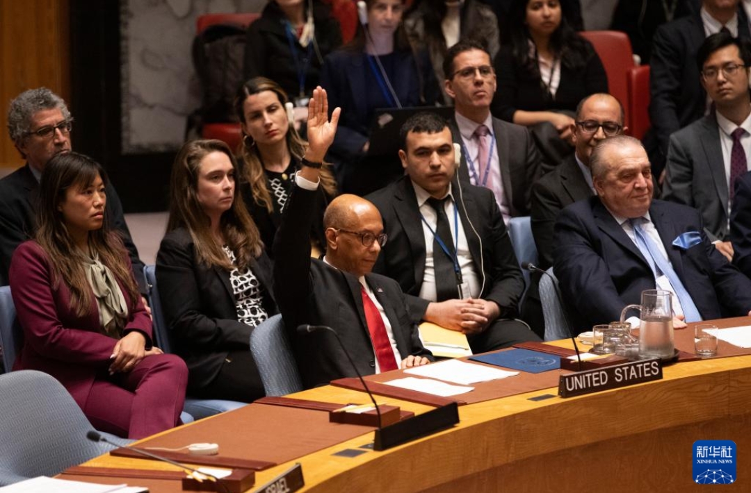 龙珠大特兰克斯